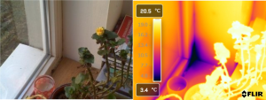 Window thermal analysis